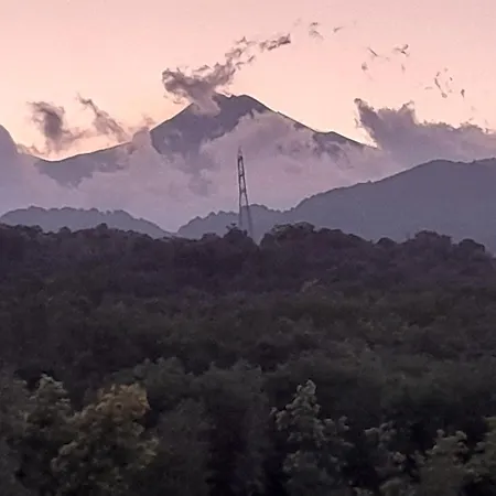 Nyaraló In *
